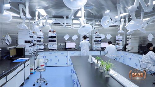 六元環三劍客 二十年死磕分子砌塊，讓中國技術嵌入全球藥脈